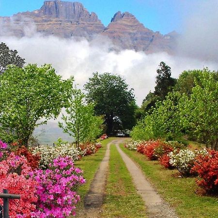 Emafweni Βίλα Champagne Valley Εξωτερικό φωτογραφία