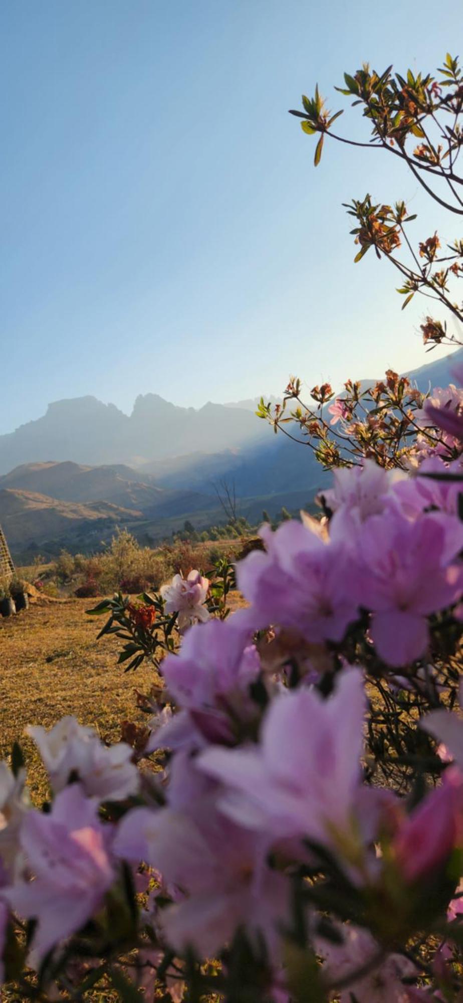 Emafweni Βίλα Champagne Valley Εξωτερικό φωτογραφία