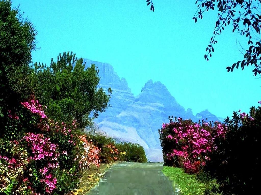 Emafweni Βίλα Champagne Valley Δωμάτιο φωτογραφία