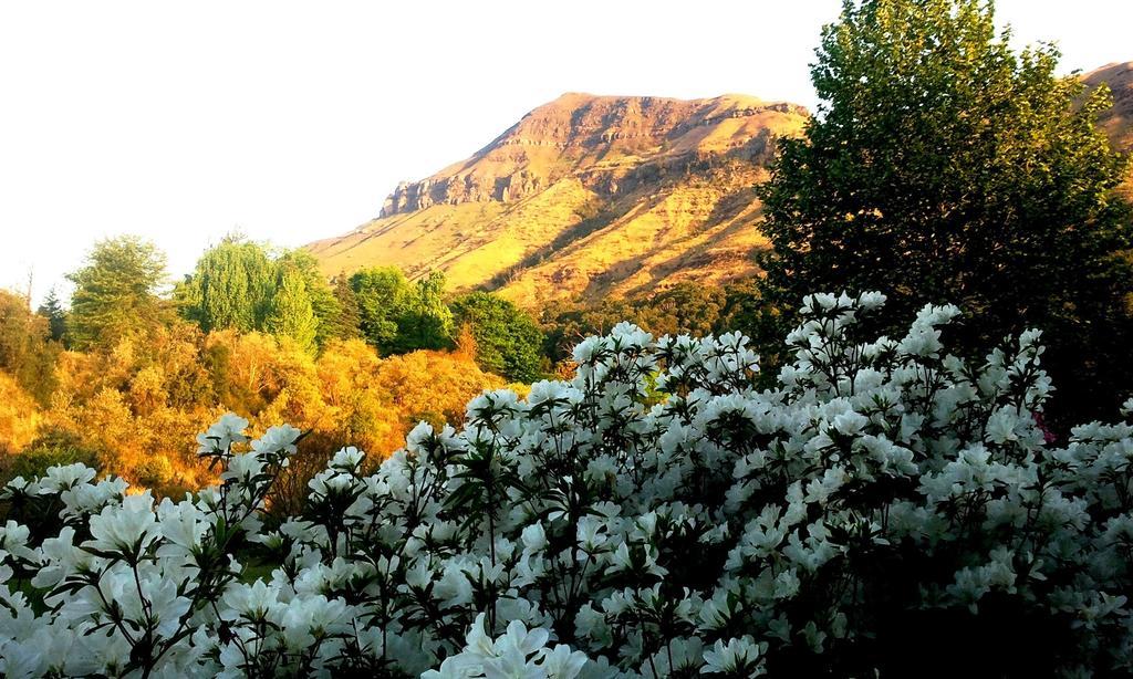 Emafweni Βίλα Champagne Valley Εξωτερικό φωτογραφία