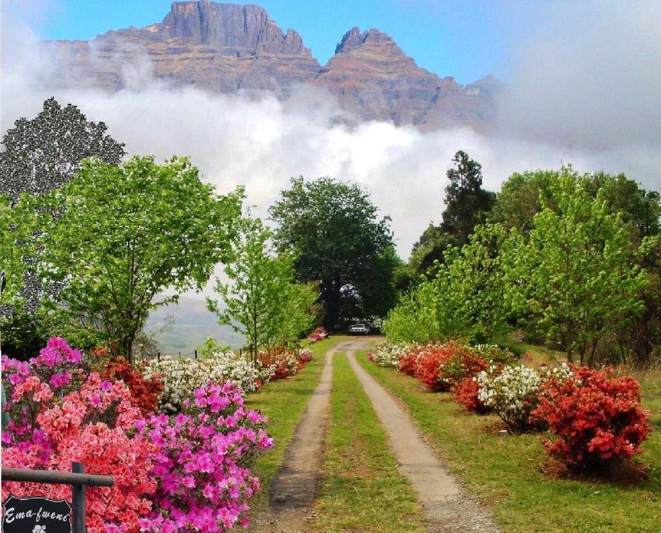 Emafweni Βίλα Champagne Valley Εξωτερικό φωτογραφία