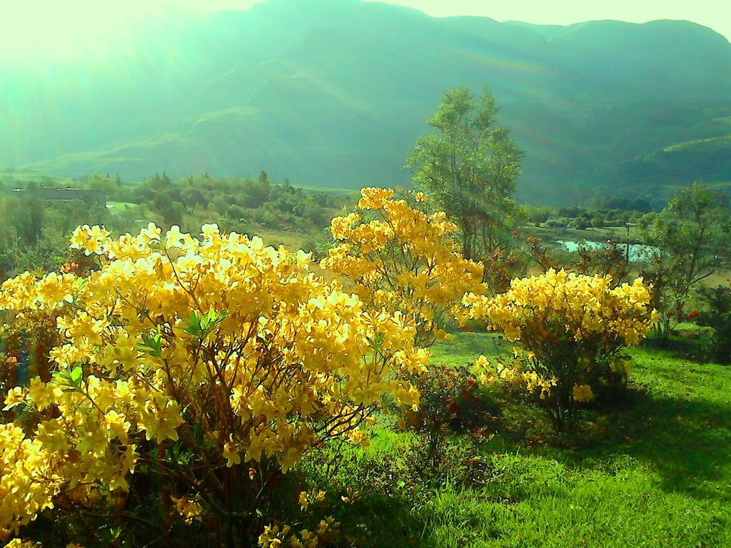 Emafweni Βίλα Champagne Valley Εξωτερικό φωτογραφία