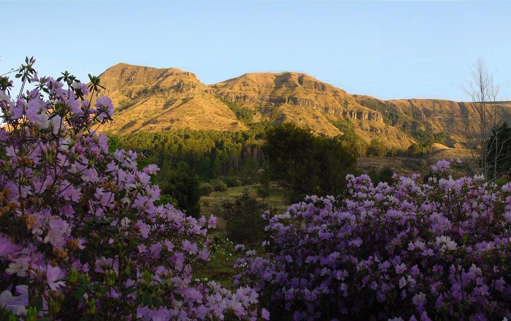 Emafweni Βίλα Champagne Valley Εξωτερικό φωτογραφία